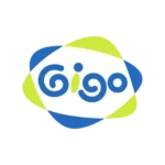 GIGO